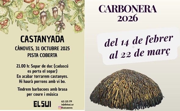 castanyada carbonera26